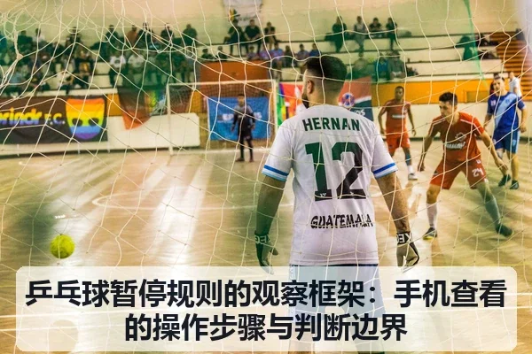 乒乓球暂停规则的观察框架：手机查看的操作步骤与判断边界